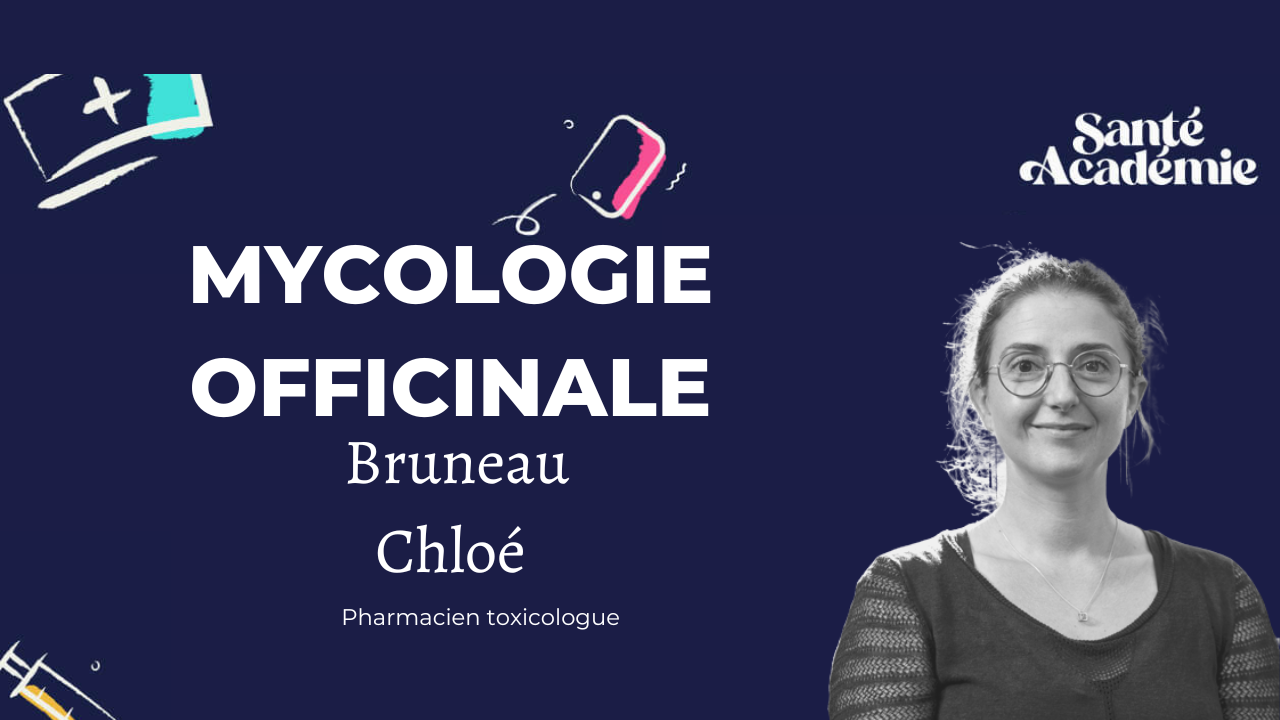 image de la formation